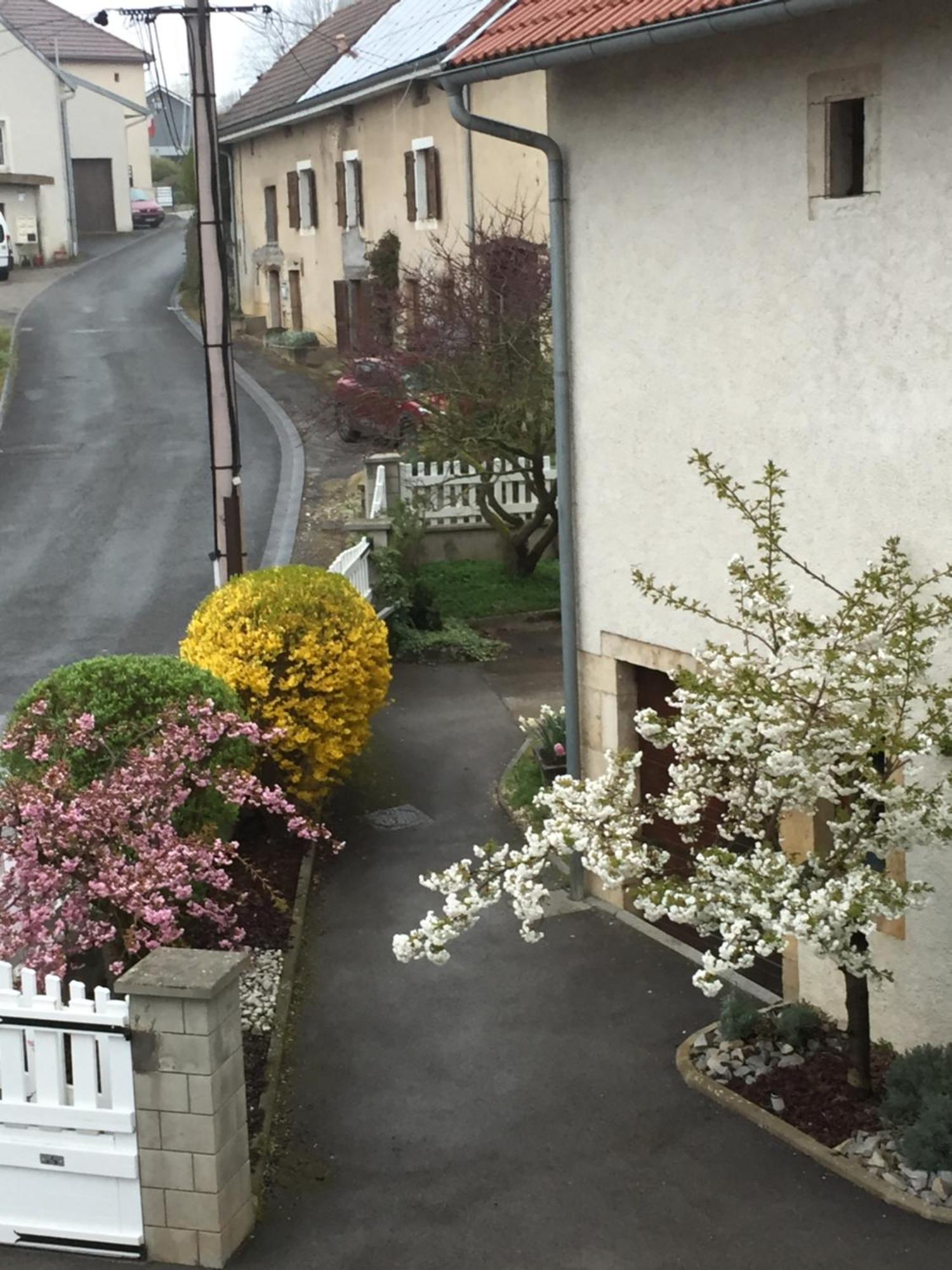 Appartement Ravissant En Bordure Du Doubs Longevelle-sur-Doubs Екстер'єр фото